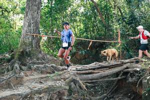 BIB: 
                            <button type="button" onclick="openModal(27742848)" class="btn btn-primary btn-sm float-right btn-popup" data-toggle="modal" data-target=".modal-high-quality">
                        <i class="fas fa-shopping-cart"></i> Add to Cart
                    </button>
                                            <button type="button" onclick="isThisMe(27742848, true)" class="btn btn-success btn-sm float-right btn-popup btn-isme hidden" data-toggle="tooltip" data-placement="bottom" title="นี่คือรูปของคุณใช่ไหม คลิกที่นี่เพื่อเอาเข้าอัลบั้ม">
                        <i class="fas fa-plus"></i> Add to album
                    </button>
                    <button type="button" onclick="isThisMe(27742848, false)" class="btn btn-warning btn-sm float-right btn-popup btn-isnotme hidden">
                        <i class="fas fa-ban"></i> Remove from album
                    </button>